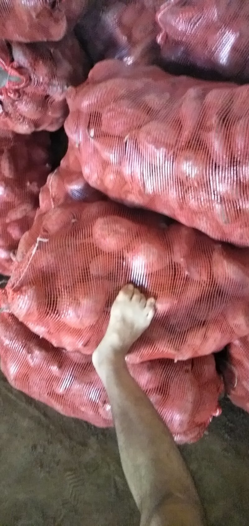 大量供应紫罗兰圆球货，电商货，徐紫八，凌紫，济黑工厂货等