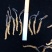 冬虫夏草西藏那曲断虫草全肉虫草网红小虫草