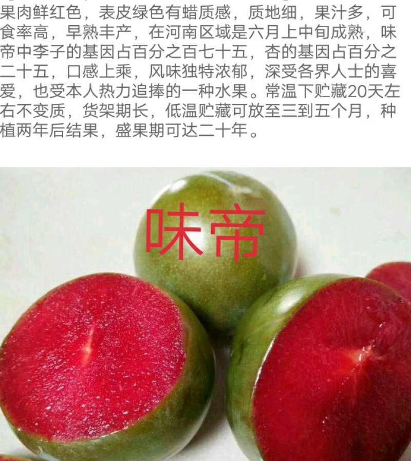 味帝李子糖度很高的杏李