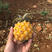 泰国小菠萝十斤装一件代发不去皮