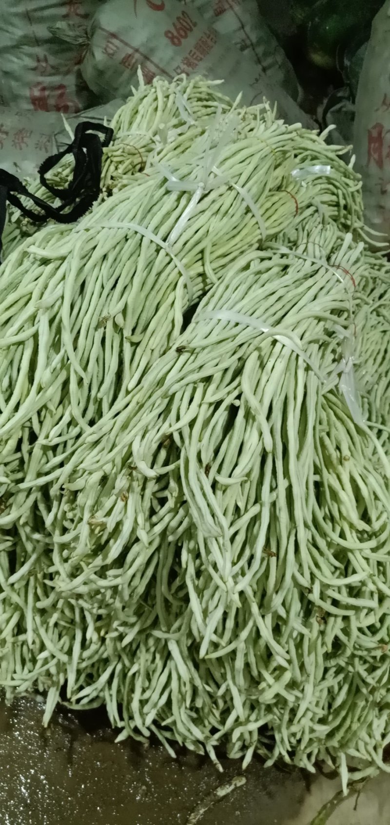 长豆达标，任性好