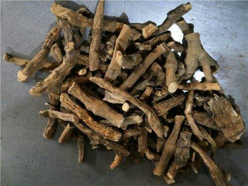 三白草根千余品种供应承接订单