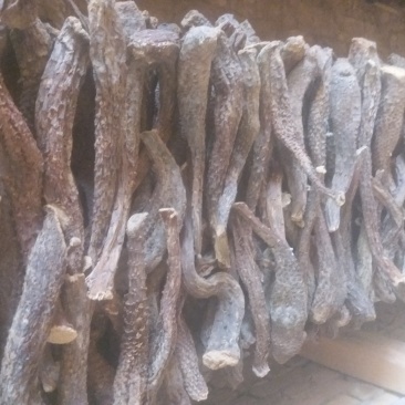 肉苁蓉条货，选装货(30厘米以上的货)
