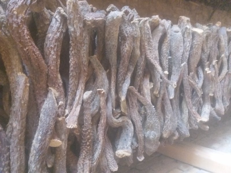 肉苁蓉条货，选装货(30厘米以上的货)