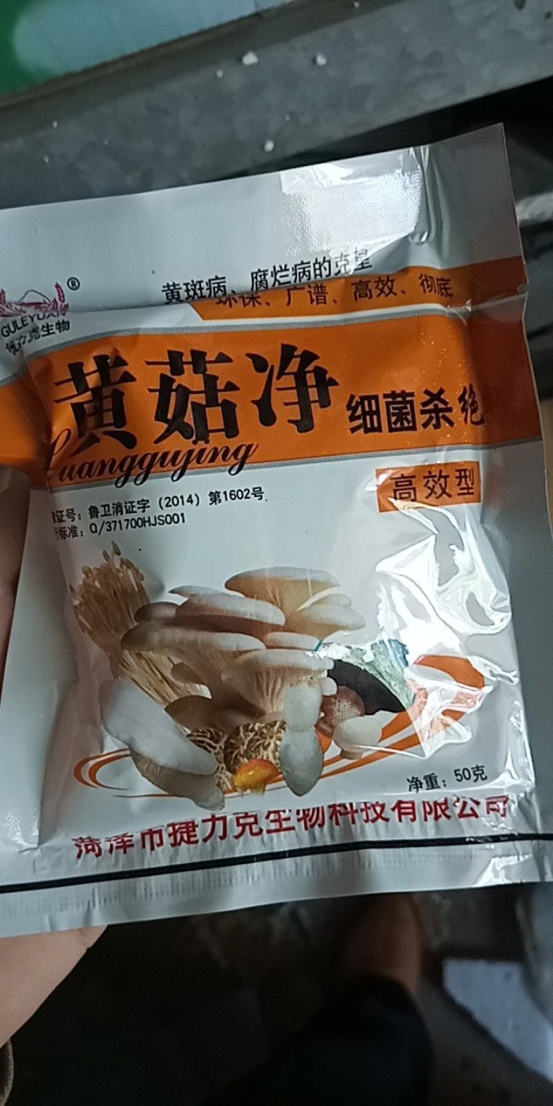 平菇黄菇净黄蘑菇腐烂病黄菇病