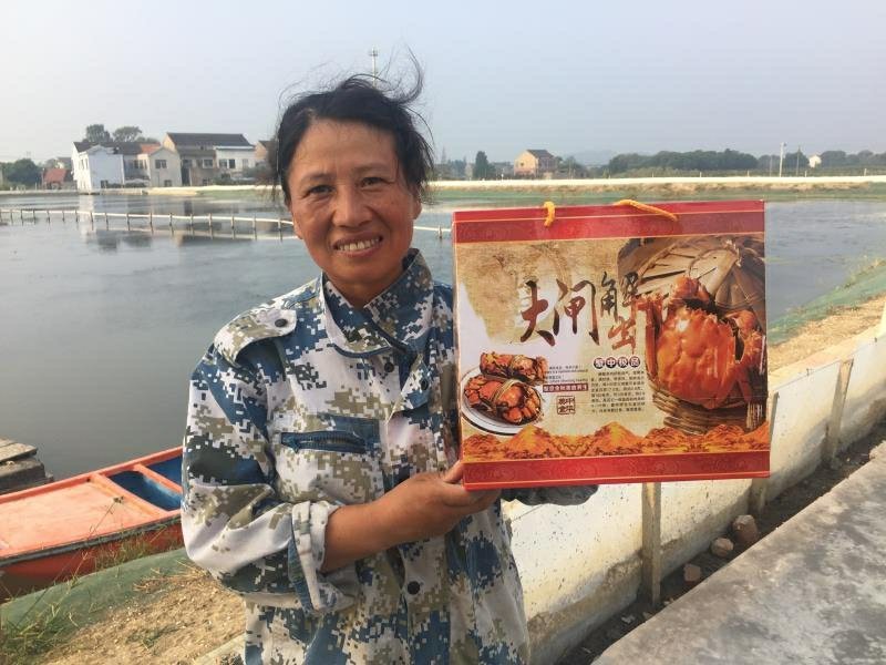 江苏长荡湖大闸蟹2—3两母自产自销红膏大闸蟹包邮一件代发