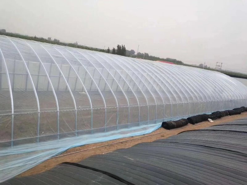 西瓜大棚草莓大棚育苗大棚大棚骨架大棚管