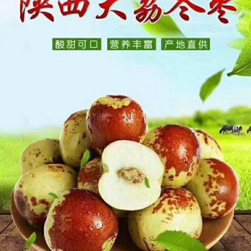 送礼佳品