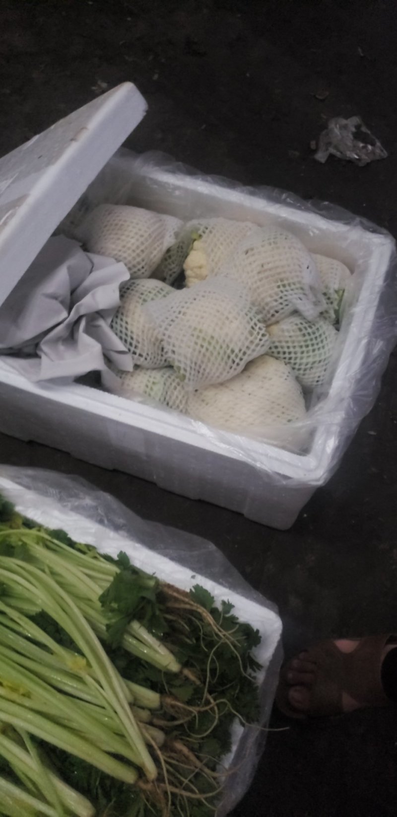 邯郸精品菜花，大量上市质量好白度好货源充足欢迎来电咨询