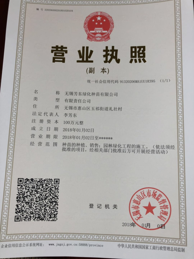 乌桕乌桕种子耐寒北方易播种红叶乌桕种子山乌桕种子彩叶