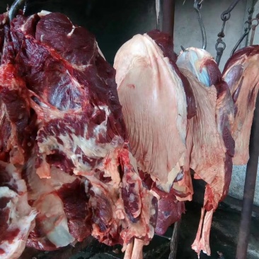驴肉好好好好好好好货好好