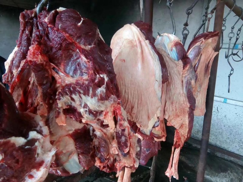 驴肉好好好好好好好货好好
