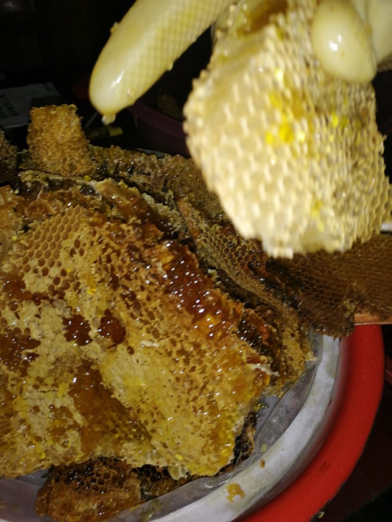 土蜂蜜