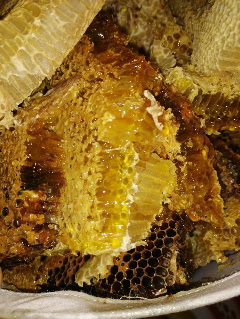 土蜂蜜