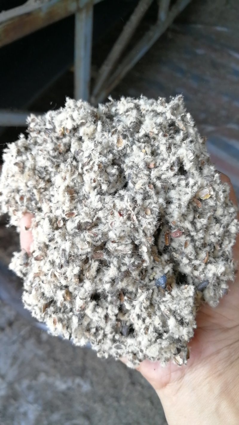 棉籽壳（平菇等栽培用广谱原料）