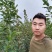 李子苗，保质保量，成活率高，包技术