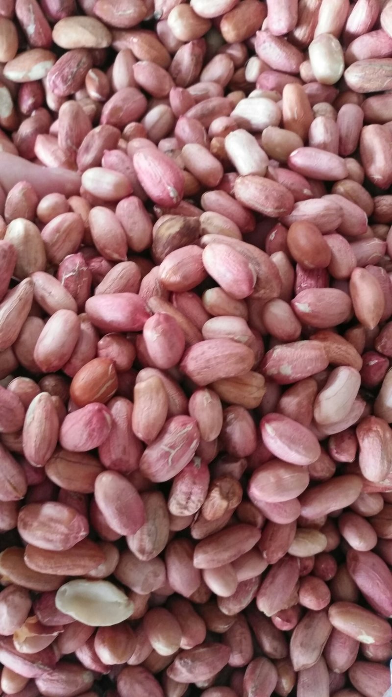 鲁花花生米，油料米价格。品种齐全，保质保量。