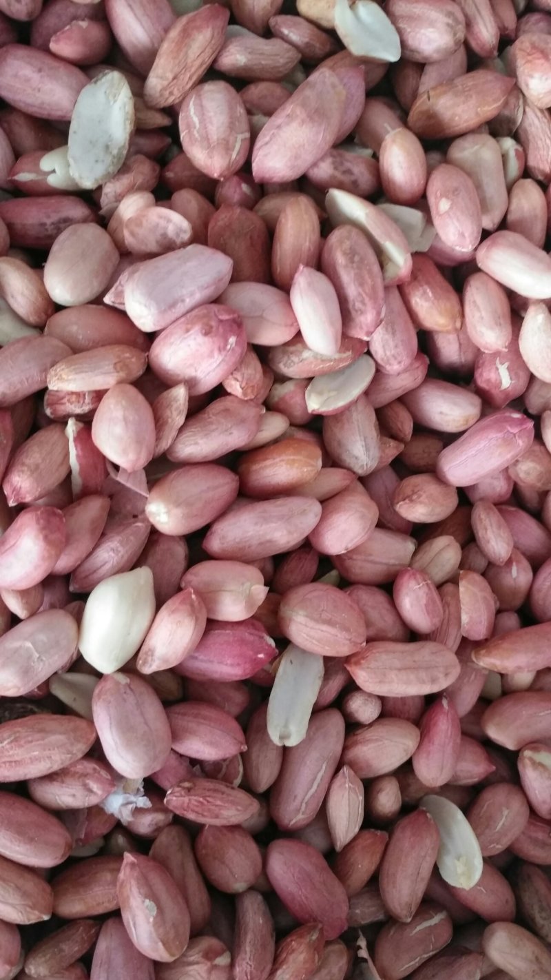 鲁花花生米，油料米价格。品种齐全，保质保量。