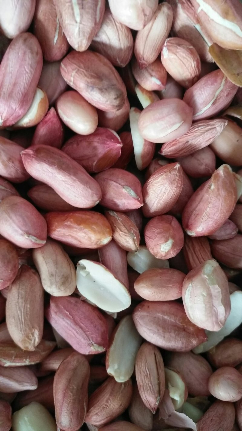 鲁花花生米，油料米价格。品种齐全，保质保量。