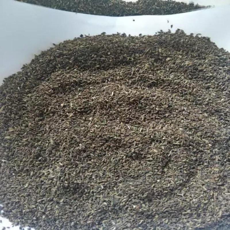 柴胡种子药材种子柴胡新种子新种柴胡