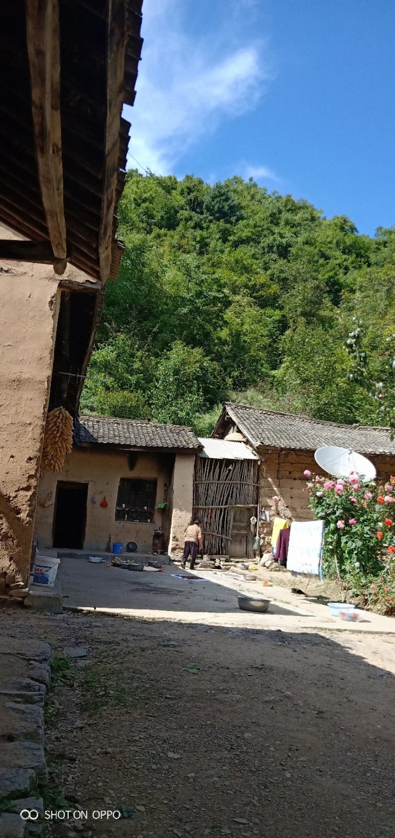 土蜂蜜，棒棒蜜，秦岭山脉特产