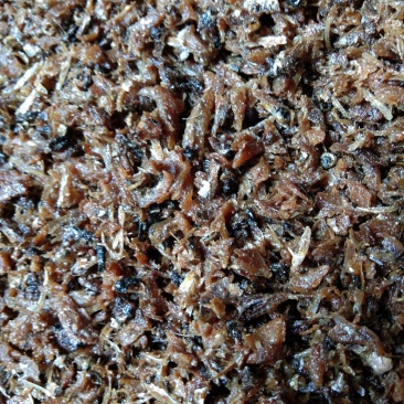 渤海湾饲料鱼熟鱼干油炸鱼干，干度好气味清香食品厂下脚料