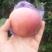 优质苹果🍎