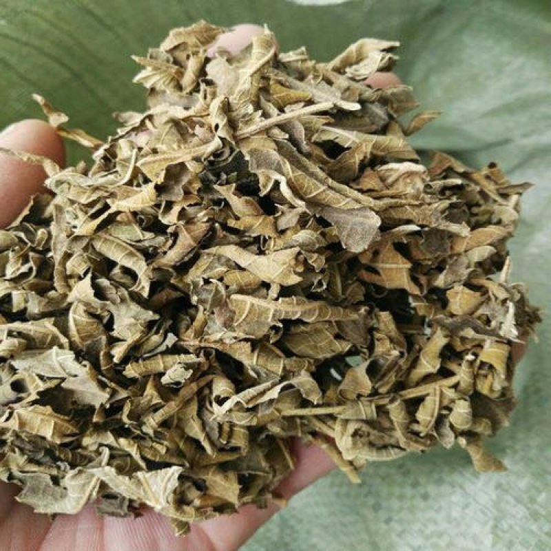 无花果叶千余品种供应承接订单