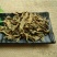 无花果叶千余品种供应承接订单