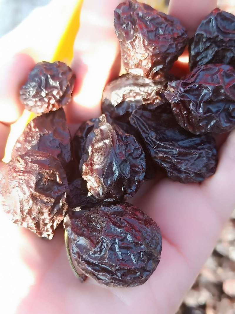 西梅干新疆西梅干法兰西西梅干