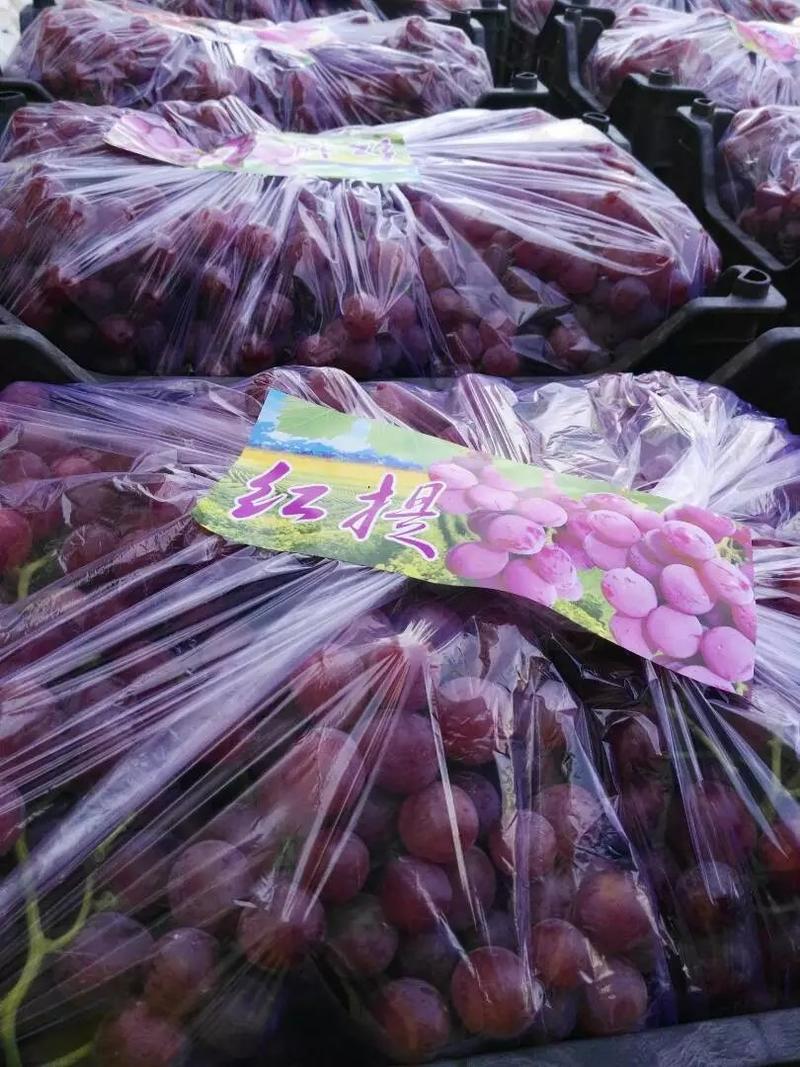 防雨棚精品红提葡萄，颗粒大，果粉好，口感甜，产地直销