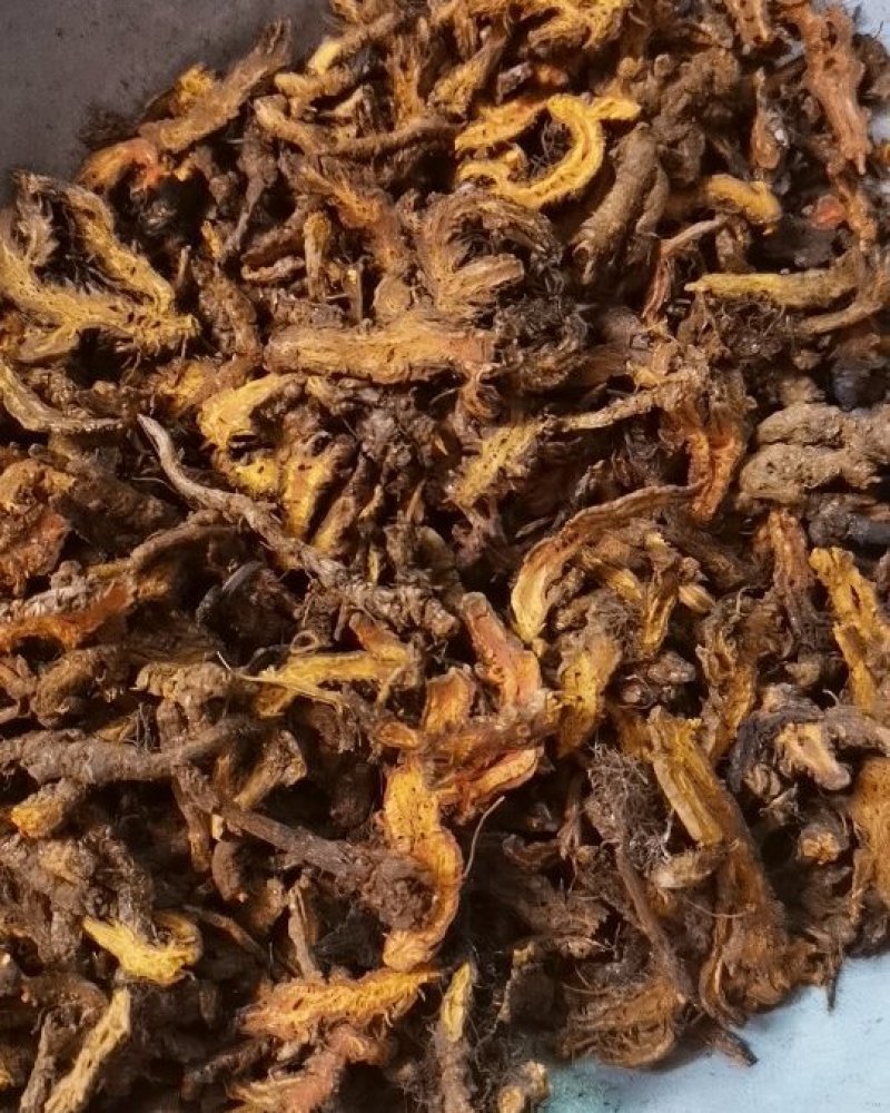 黄连片优质黄连鸡爪连单支连产地直销批发各种中药材