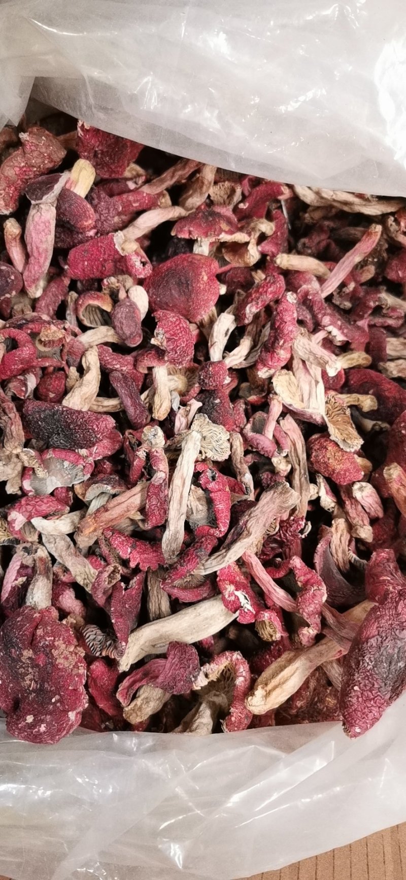 云南野生红菇大量批发