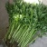 细芹菜