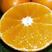 橙子九月红脐橙肉稚嫩水份充足交通运输便利量大优惠