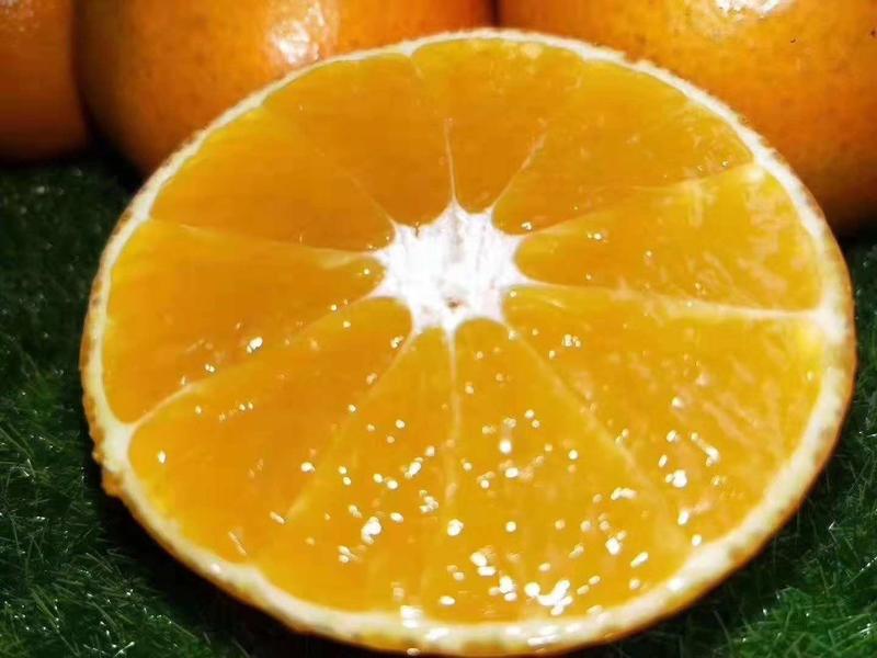 橙子九月红脐橙肉稚嫩水份充足交通运输便利量大优惠