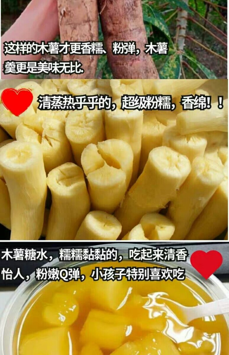 广西新鲜黄心黄肉木薯新鲜现挖甜品糖水一件代发60元