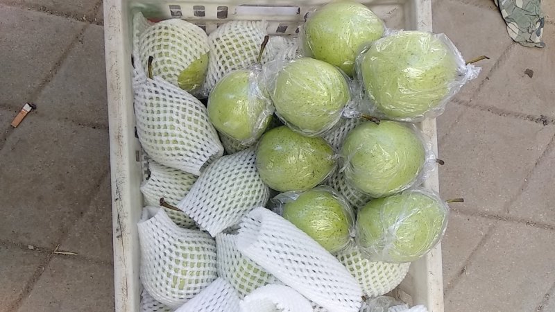 鸭梨，水晶梨