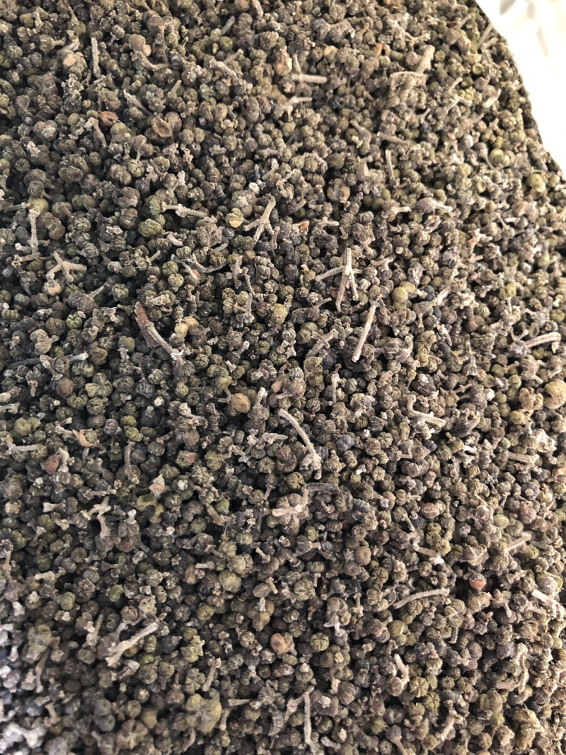 【舜波中药材】吴茱萸中花量大从优
