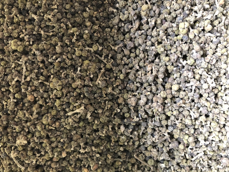【舜波中药材】吴茱萸中花量大从优