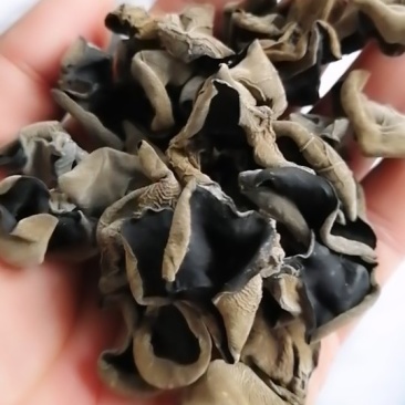 东北水发木耳，小碗耳，黑山木耳，黑厚小木耳全国发货