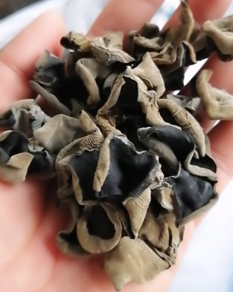 东北水发木耳，小碗耳，黑山木耳，黑厚小木耳全国发货