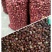 板栗