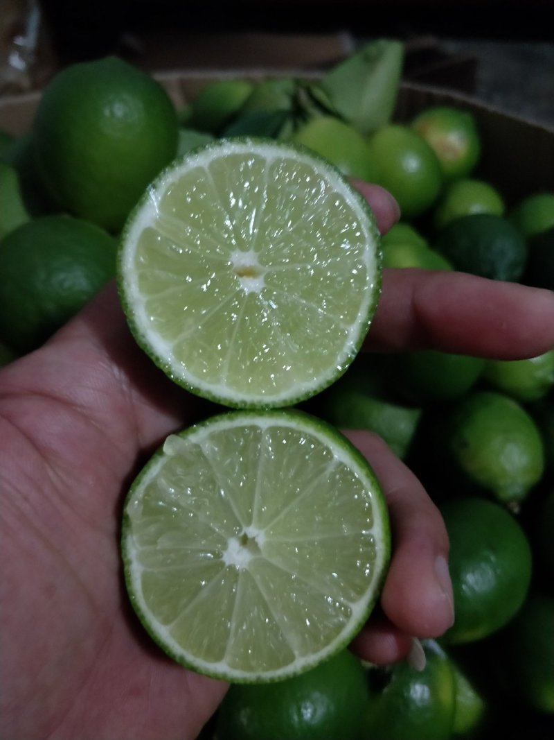 越南无籽青柠檬