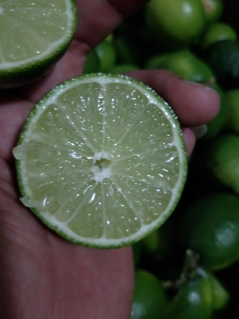 越南无籽青柠檬