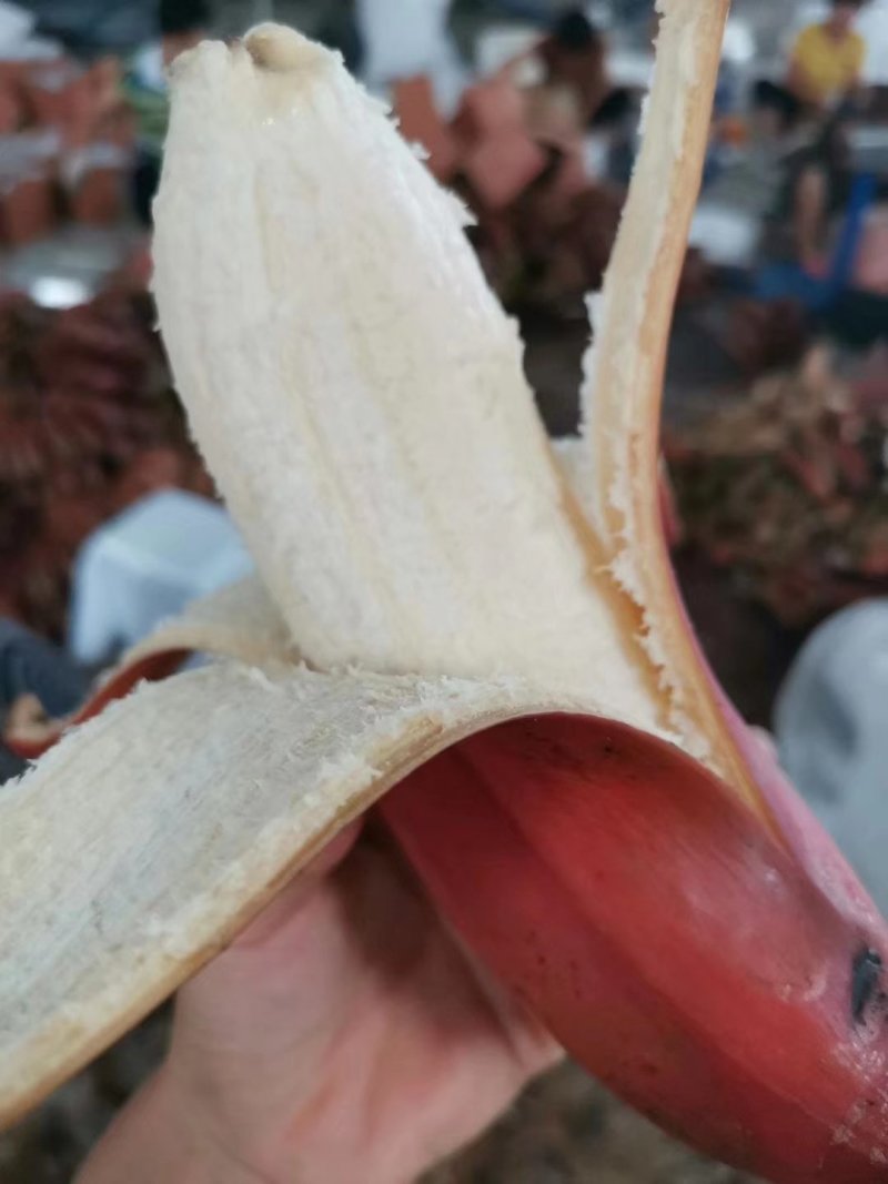 热衷于瘦身减脂的我又来为你推荐我家红美人香蕉了。，，