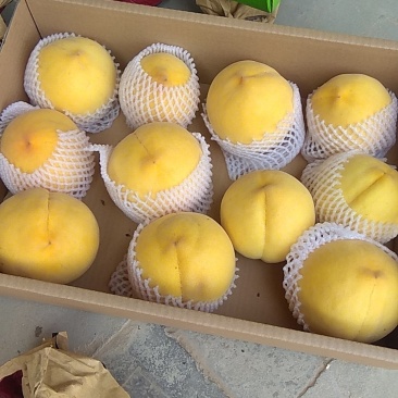 优质晚黄金桃