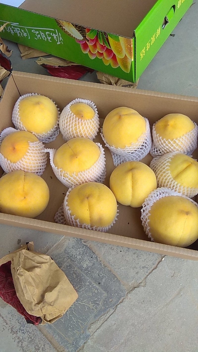 优质晚黄金桃