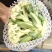 肥城有机花菜，泰安松花菜，青梗散花大量供应山东肥城