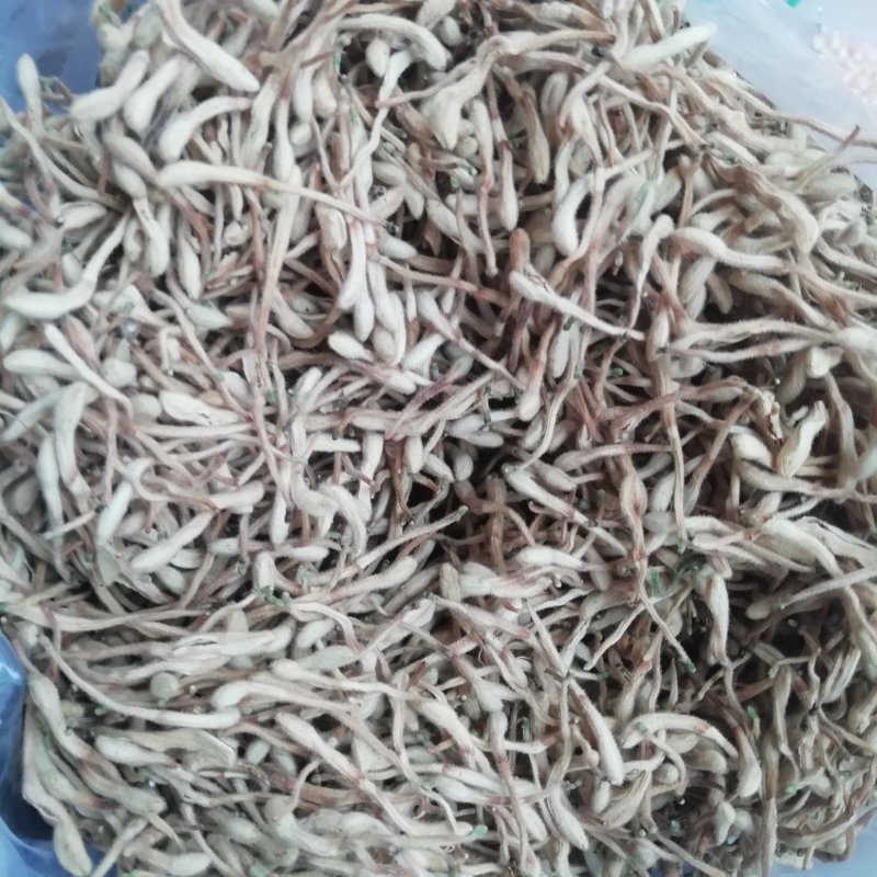 金银花南水北调源头地产货